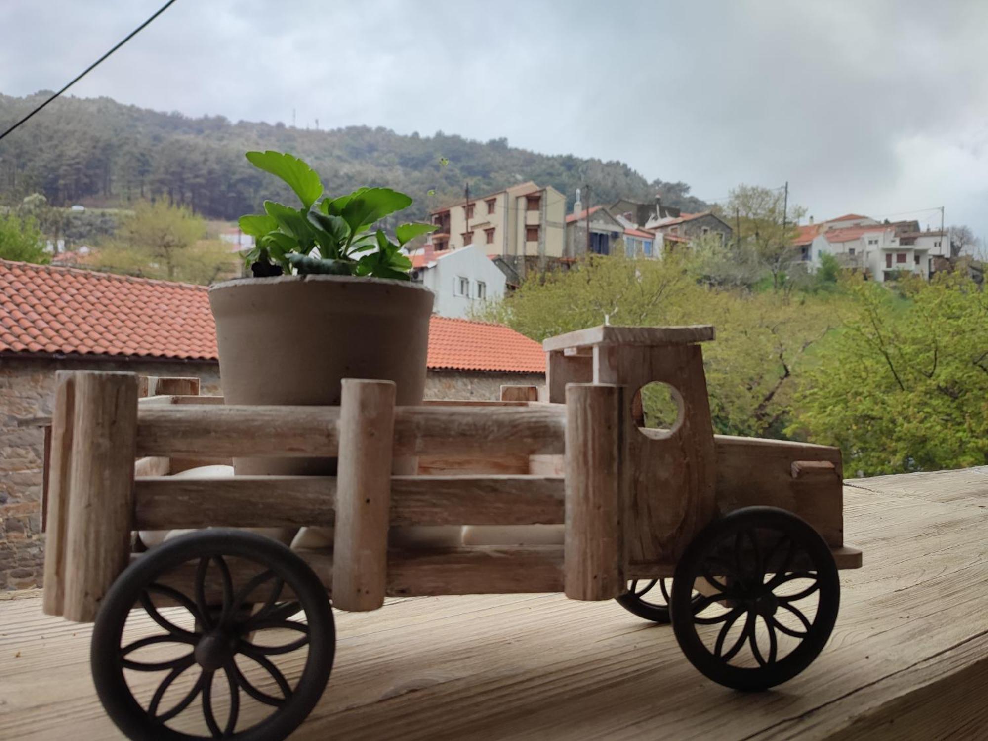 Guesthouse Axieros ซาโมทราคี ภายนอก รูปภาพ